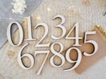 Milestone Wood Baby