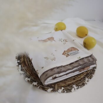Kuscheldecke Minky Happy Bears