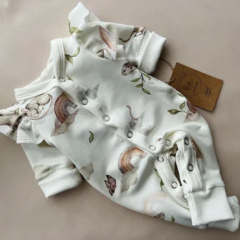 Strampler|Premium GOTS Baumwolle|Rainbow Morning Hauptbild