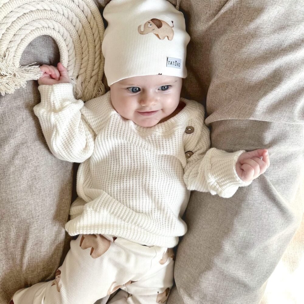 Baby Set | Sweatshirt, Pants & Beanie | GOTS Cotton | Elephants Main Image