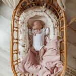 Babynest 2 In 1| Premium Baumwolle| Arrival of Birds Zusatzbild-2