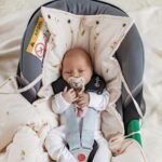 Premium Car Seat Blanket | 3-in-1 | Arrival of Birds Additional Image 3