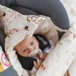 Premium Car Seat Blanket | 3-in-1 | Arrival of Birds Additional Image 1