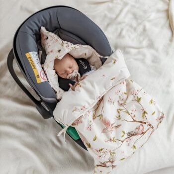 Premium Car Seat Cover | 3-in-1 | Arrival of Birds Main Image