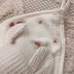 Badtuch mit Kapuze | Waffel| Daisies Zusatzbild-2