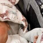 Coperta per seggiolino auto in mussola di alta qualità con tema "Amici del bosco" (Immagine aggiuntiva 3)
