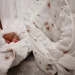 Babynest |Premium Ultra Soft Musselin |3er Set|Daisies Zusatzbild-7