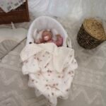 Set Kuscheldecke Kissen |Premium Musselin-Minky|Daisies Zusatzbild-3