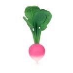 Oli&Carol Beissring|Ramona the Radish Hauptbild
