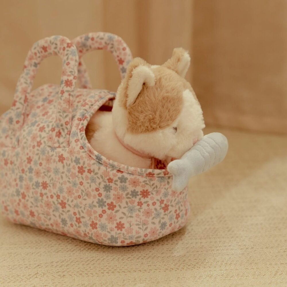 Marley, le petit chat hollandais, dans un sac. Image supplémentaire 1