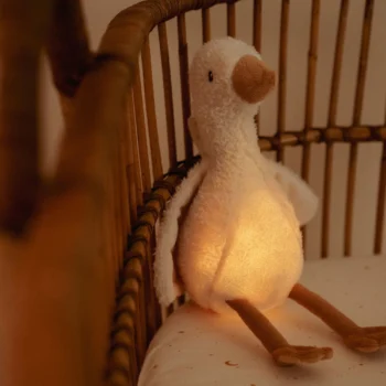 Sanftes Nachtlicht mit Geräuschen und Licht Baby Goose GRS Newborn Hauptbild