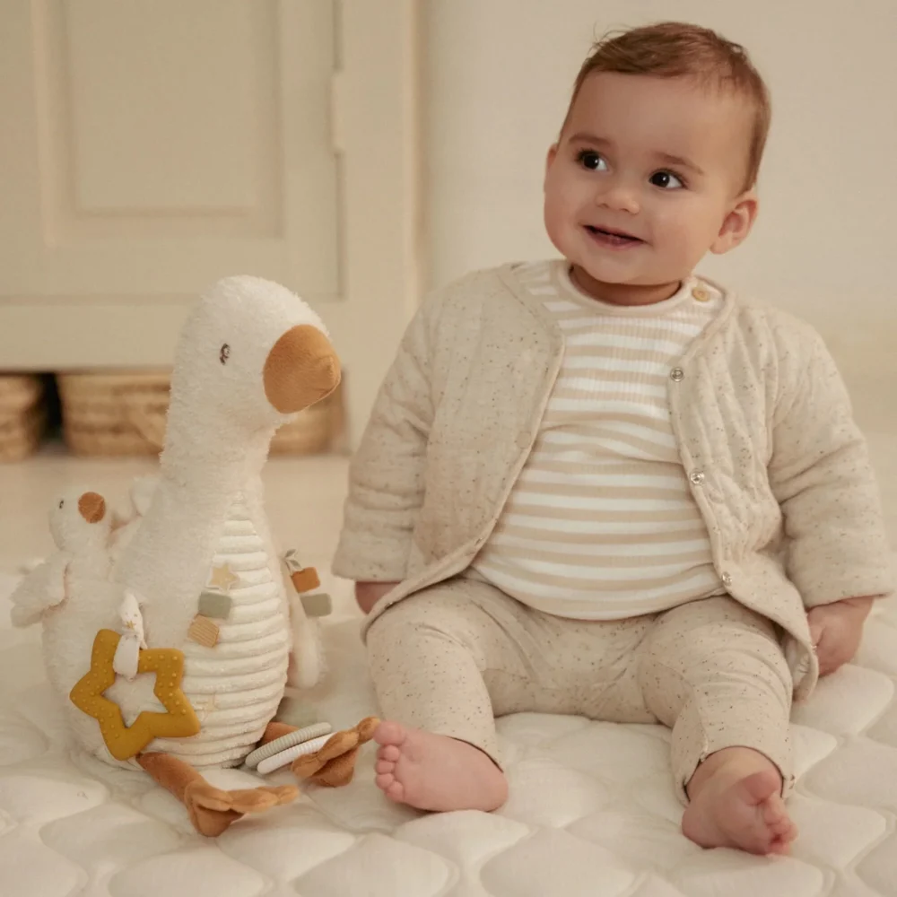 Baby Goose GRS Newborn Activities Additional Image 1
